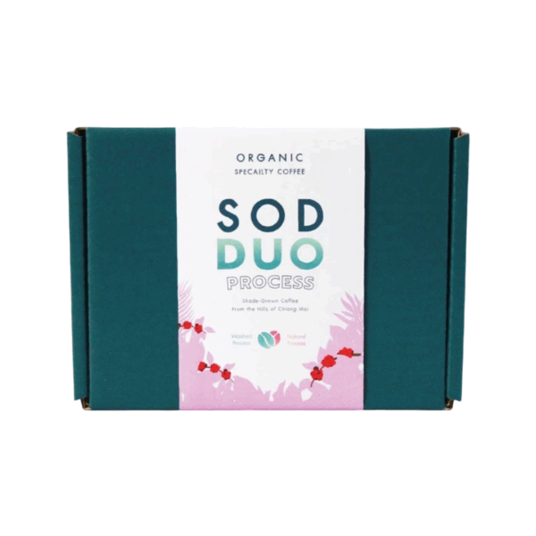 Gift Set SOD DUO Set A Natural Process + Washed Process