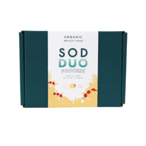 Gift Set SOD DUO Set B In-cherry Honey Process + Natural Process