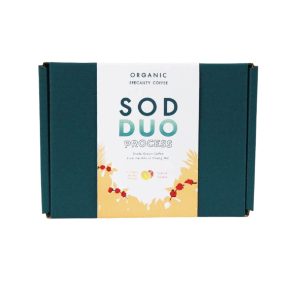Gift Set SOD DUO Set B In-cherry Honey Process + Natural Process