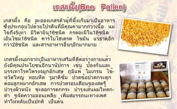 BeePollen (trial size) 265 - Image 2