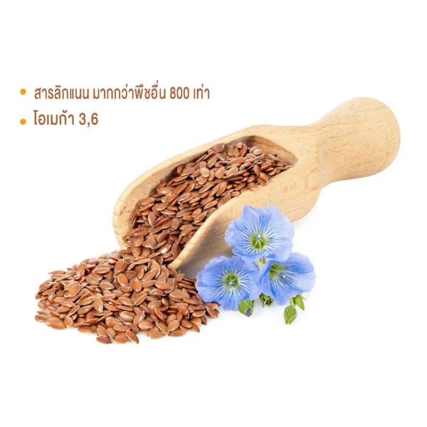 Brown Flax Seeds - Image 3