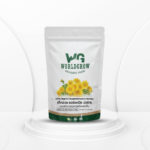 Chrysanthemum, dried and brewed for drinking
