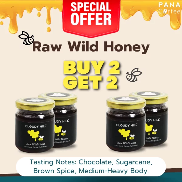 Cloudy Hill Raw Wild Honey - Image 3