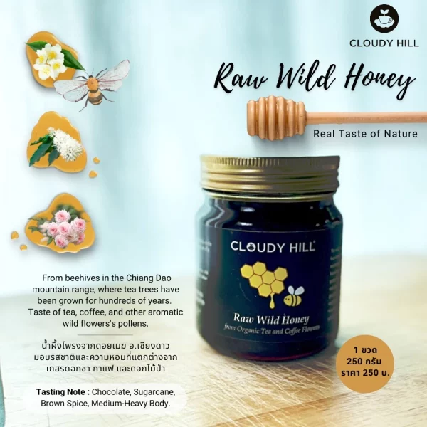 Cloudy Hill Raw Wild Honey - Image 2