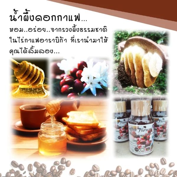 Coffee flower honey 200g - Image 3