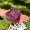 Dehydrated dragon fruit - Image 2