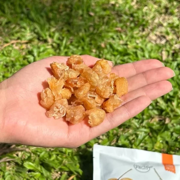 Dehydrated longan - Image 2