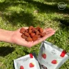 Dehydrated strawberry - Image 3