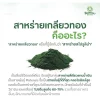Dietary Supplement Spirulina (120 capsule) - Image 3