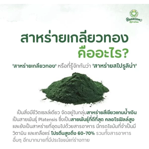 Dietary Supplement Spirulina (120 capsule) - Image 3