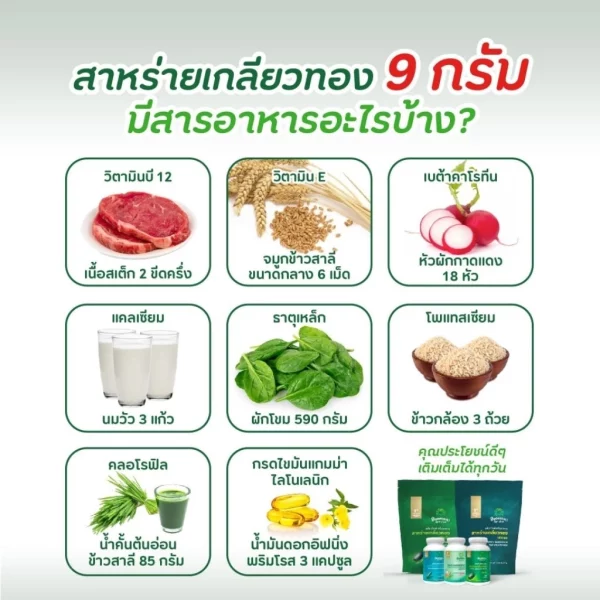 Dietary Supplement Spirulina Tablet(Jar type) - Image 3