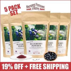 Freeze Dried Blueberry Powder No Sugar ( 5 PACKs SET)