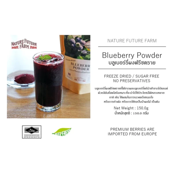 Freeze Dried Blueberry Powder No Sugar ( 5 PACKs SET) - Image 4