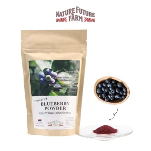 Freeze Dried Blueberry Powder No Sugar