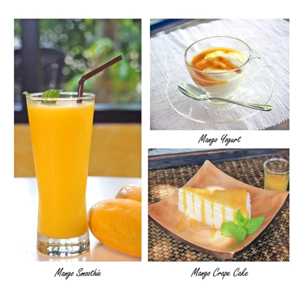 Freeze Dried Mango Powder - Image 2