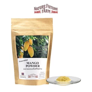 Freeze Dried Mango Powder