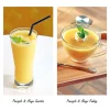 Freeze Dried Pineapple & Mango Powder - Image 3