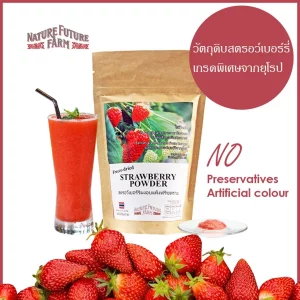 Freeze Dried Strawberry Powder