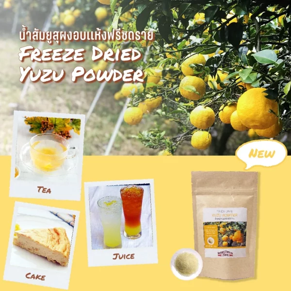FREEZE DRIED YUZU POWDER - Image 3