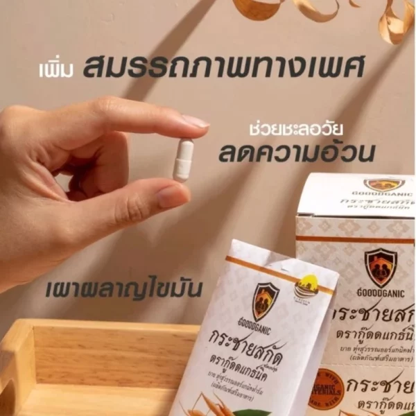 Galingale extract - Image 3