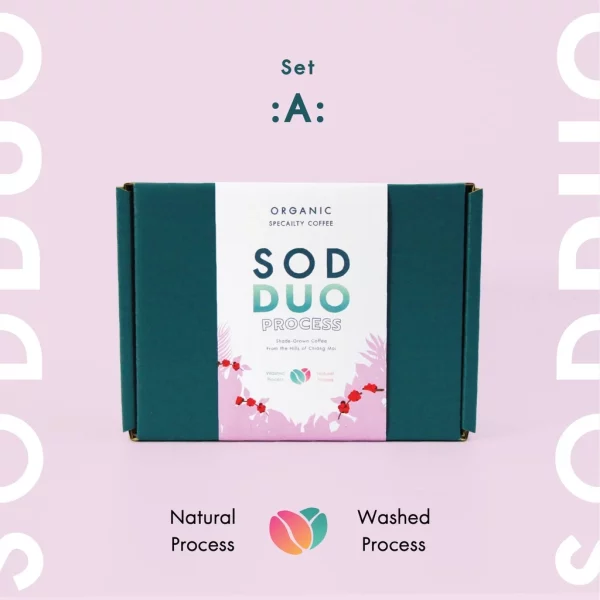 Gift Set SOD DUO Set A Natural Process + Washed Process - Image 4