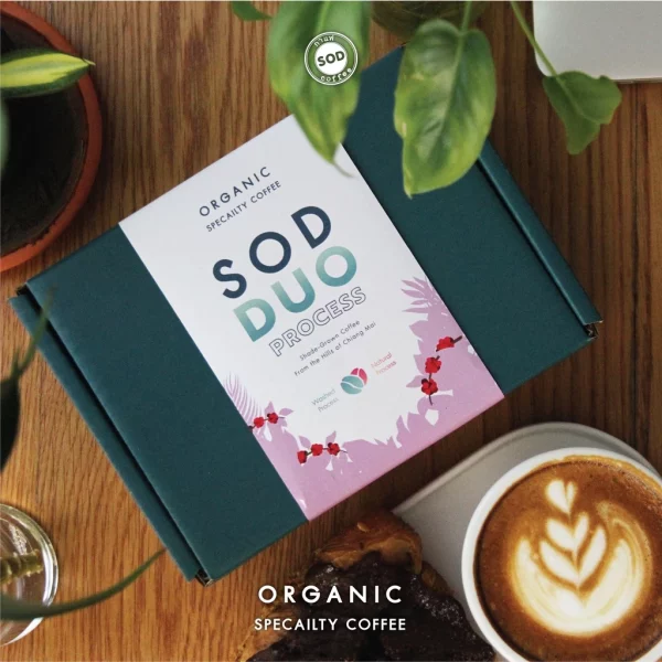 Gift Set SOD DUO Set A Natural Process + Washed Process - Image 3