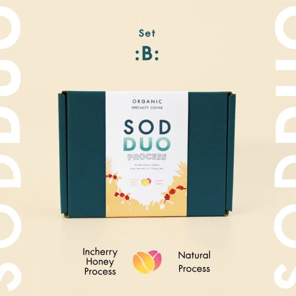 Gift Set SOD DUO Set B In-cherry Honey Process + Natural Process - Image 4