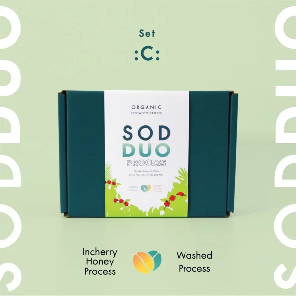 Gift Set SOD DUO Set C Washed Process + In-cherry Honey Process - Image 2