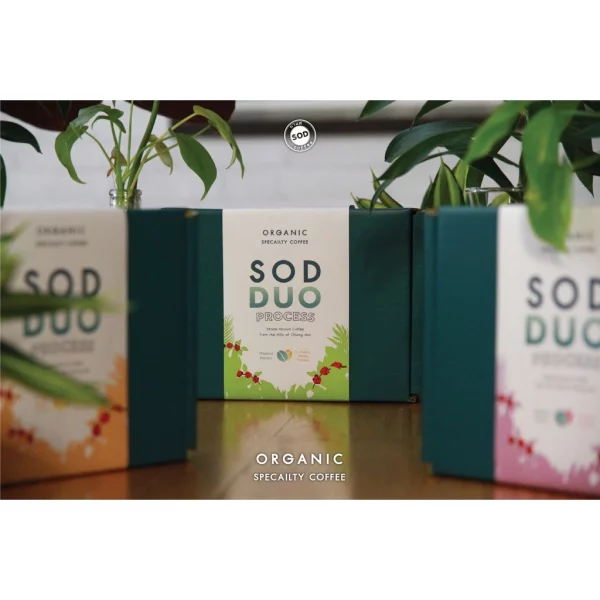 Gift Set SOD DUO Set C Washed Process + In-cherry Honey Process - Image 3