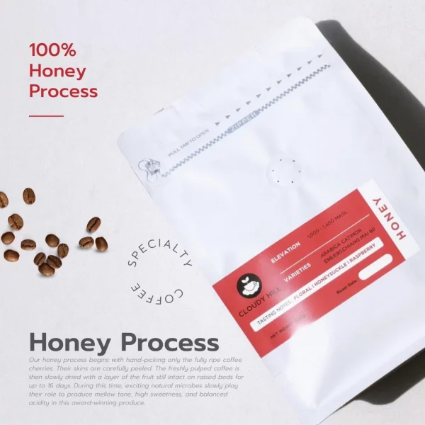 Honey Process Doi Mek Cloudy Hill Specialty Coffee - Image 3