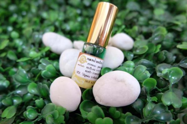 Hop-Headed Barleria Massage Oil, Traditional Medicine Recipe - Image 3