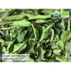 Kaffir Lime Leaves - Image 2