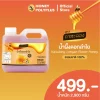 Kasalong Longan Honey 2.9 kg - Image 2