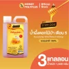 Kasalong Wildflower Honey 1.5 kg (Pack of 3) - Image 2