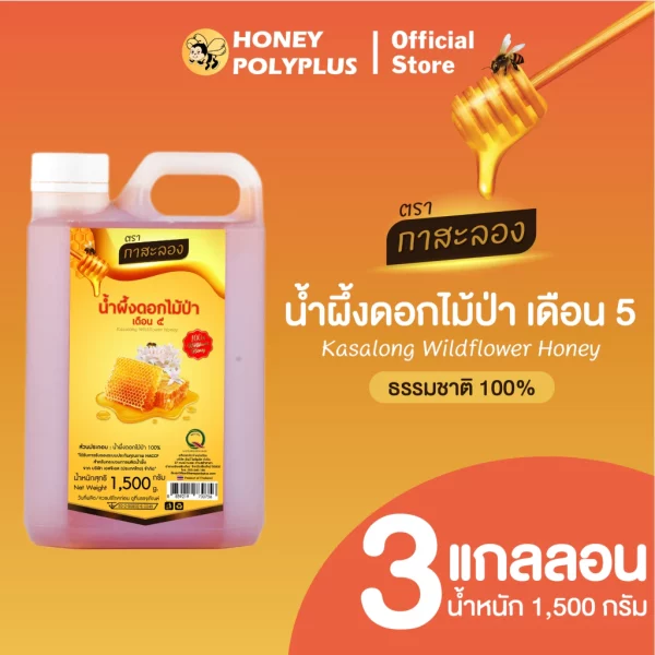 Kasalong Wildflower Honey 1.5 kg (Pack of 3) - Image 2