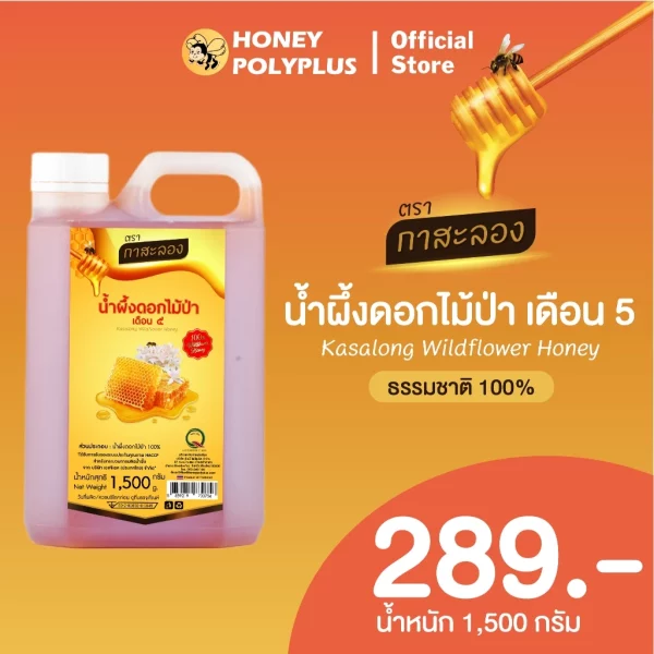Kasalong Wildflower Honey 1.5 kg - Image 2