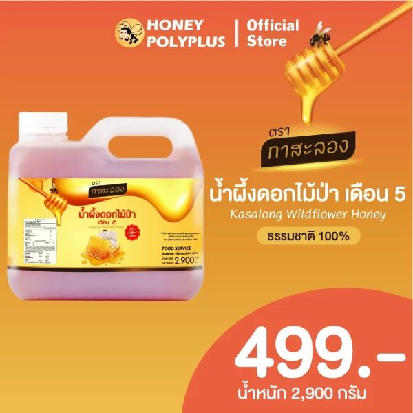 Kasalong Wildflower Honey 2.9 kg - Image 2