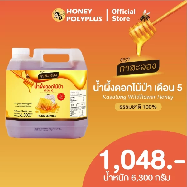 Kasalong Wildflower Honey 6.3 kg - Image 2