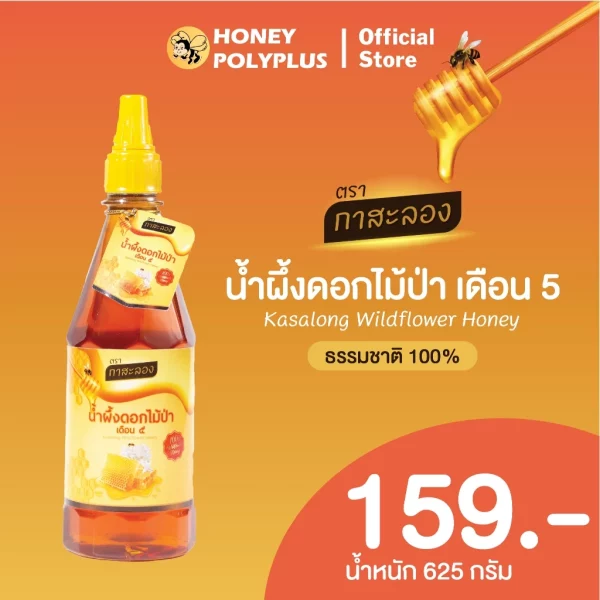 Kasalong Wildflower Honey 625g - Image 2