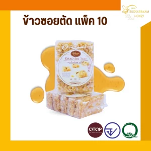 Khao Soi Tud