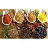 Larp Curry Powder - Image 4
