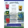 Lemongrass Tea, The Garden Tea - Image 3