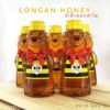 Longan Honey Bear Bottle 500g