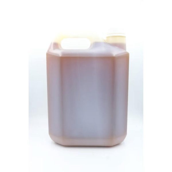 Longan honey size 7000 grams - Image 2