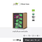 LUMLUM Organic Gymnema Inodorum Tea