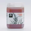 Lychee Honey 7 kg. Supha Farm