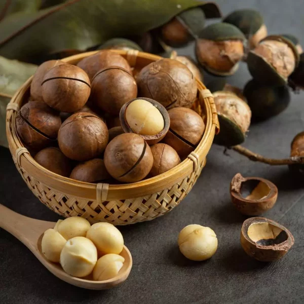 Macadamia - Image 3