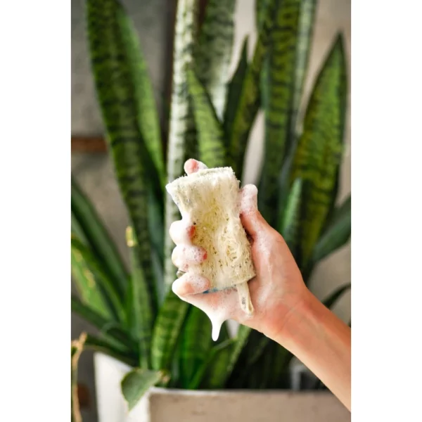 Natural Dish Scrubber Kitchen Loofah - Image 3
