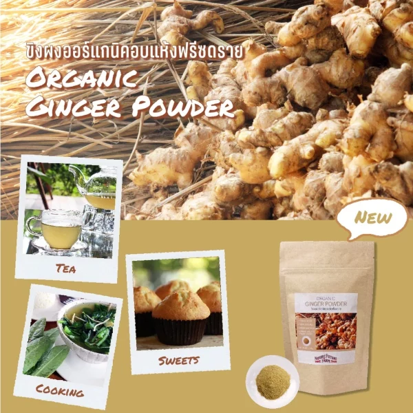 ORGANIC FREEZE DRIED GINGER POWDER - Image 3