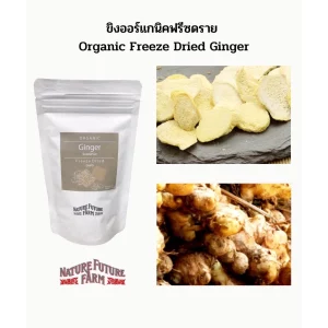 Organic Freeze Dried Ginger